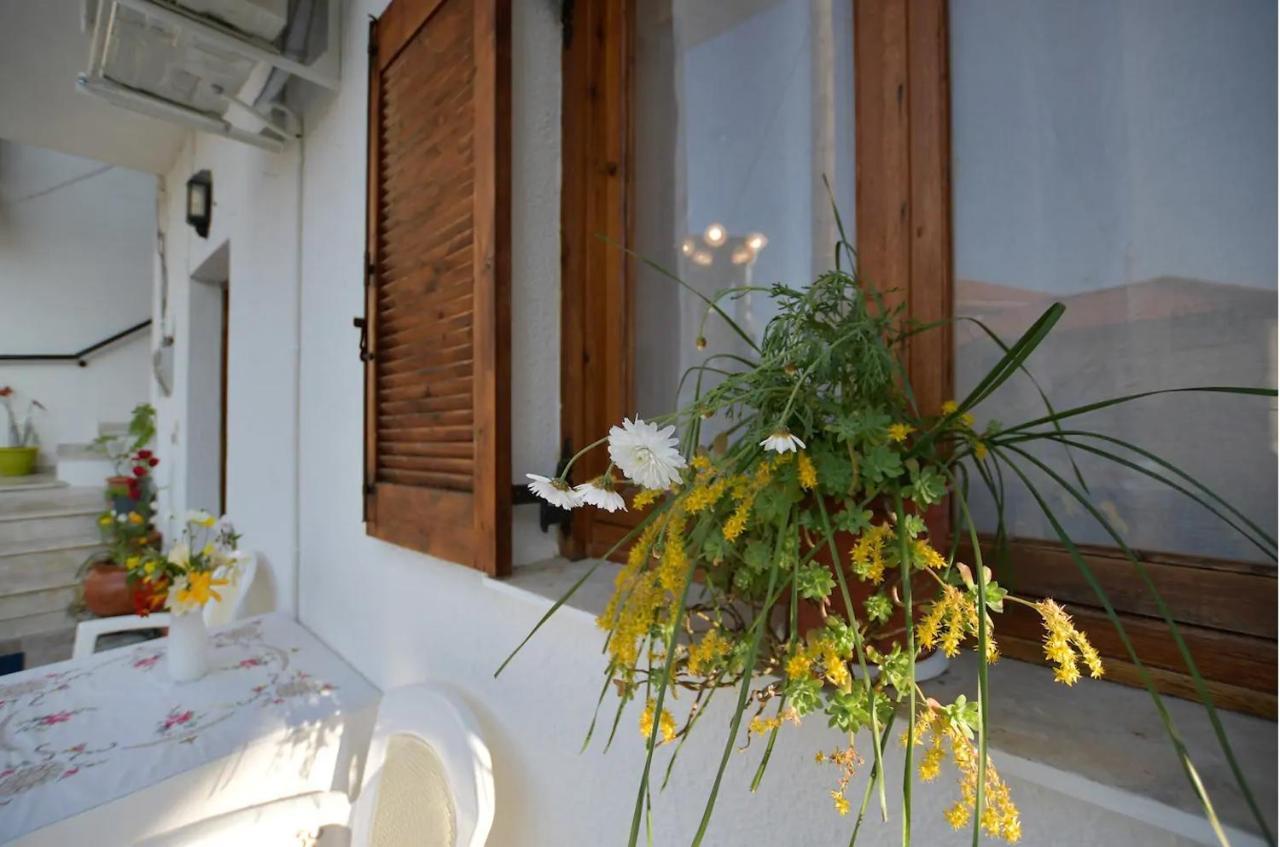 Relaxing Experiences Near Ancient Olympia Διαμέρισμα Αρχαία Πίσσα Εξωτερικό φωτογραφία